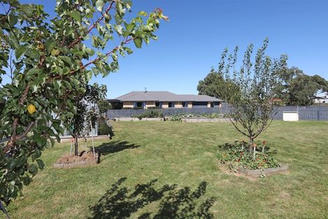 Photo of property in 9 Mill Street, Marton, 4710