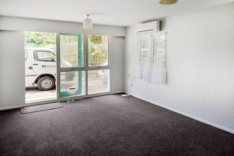 Photo of property in 29u1 Waiapu Road, Kelburn, Wellington, 6012