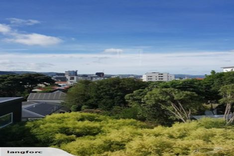 Photo of property in 46b Thompson Street, Mount Cook, Wellington, 6011