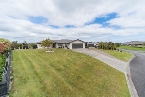 Photo of property in 49 Wapiti Avenue, Feilding, 4775