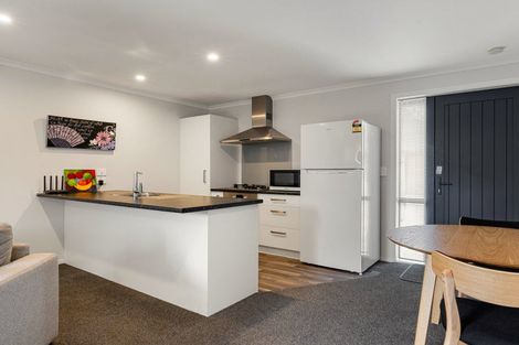 Photo of property in 21u2 Fifth Avenue, Enderley, Hamilton, 3214