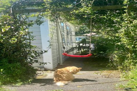 Photo of property in 182 Hanson Street, Newtown, Wellington, 6021