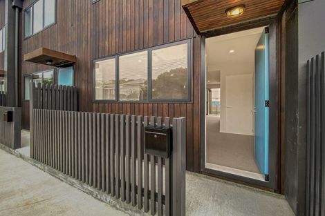 Photo of property in Aniva Terrace, 30 Ferguson Street, Newtown, Wellington, 6021