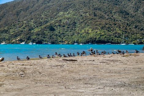 Photo of property in 12 Tirimoana Terrace, Anakiwa, Picton, 7281