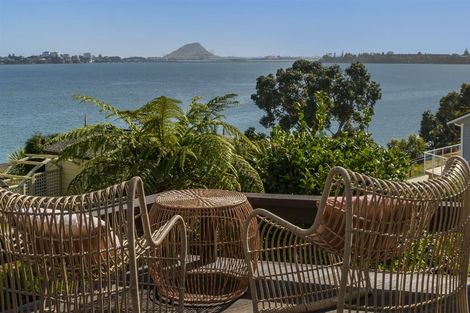 Photo of property in 266 Maungatapu Road, Maungatapu, Tauranga, 3112