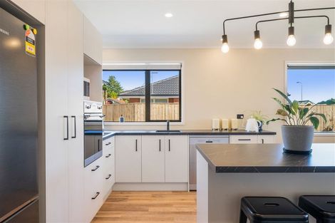 Photo of property in 77b Fairfield Road, Levin, 5510