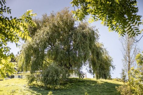Photo of property in 86a Te Puna Quarry Road, Minden, 3179