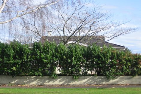 Photo of property in 149b Grey Street, Hamilton East, Hamilton, 3216