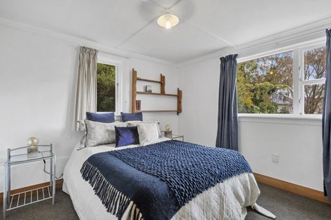 Photo of property in 28 Ann Street, Roslyn, Dunedin, 9010