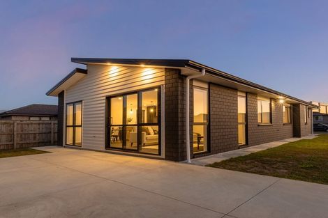Photo of property in 104 Hinemoa Street, Levin, 5510