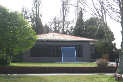 Photo of property in 113 Fitzroy Avenue, Fitzroy, Hamilton, 3206
