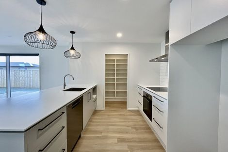 Photo of property in 90 Monarch Drive, Rolleston, 7614