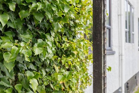 Photo of property in 14 Marlborough Street, Greymouth, 7805