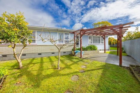Photo of property in 24 Essex Street, Tamatea, Napier, 4112