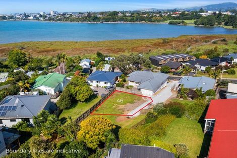 Photo of property in 44 Churchill Road, Judea, Tauranga, 3110