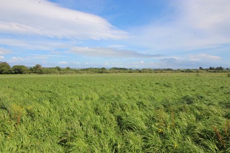 Photo of property in 20 Feng Lane, Woodville, 4999