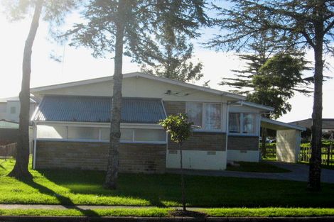 Photo of property in 15 Browns Road, Manurewa, Auckland, 2102