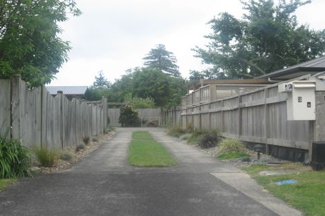 Photo of property in 3b Princess Street, Te Puke, 3119