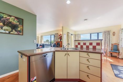 Photo of property in 313 Hill Street, Richmond, 7020