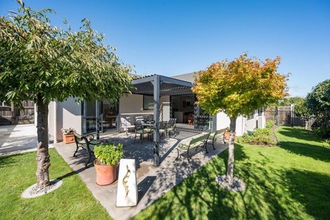 Photo of property in 9 Langdale Drive, Richmond, 7020