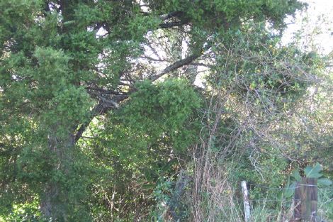 Photo of property in 13 Bennett Street, Warkworth, 0910