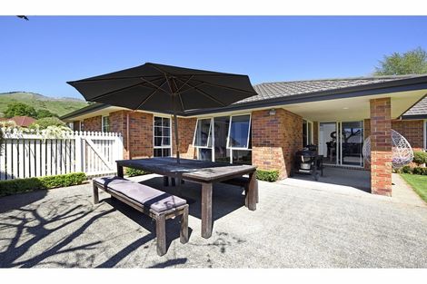 Photo of property in 24 Park Drive, Richmond, 7020