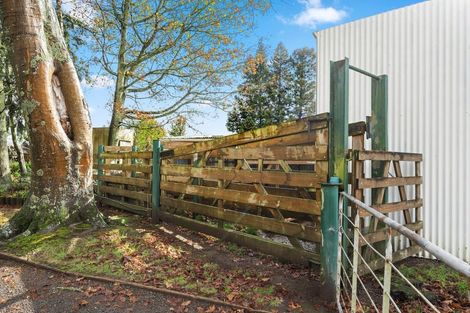Photo of property in 50 Lochmaben Road, Tokoroa, 3420