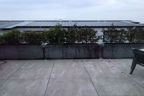 Photo of property in 1/42 Sunrise Avenue, Mairangi Bay, Auckland, 0630