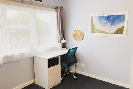 Photo of property in 117 Rakau Road, Hataitai, Wellington, 6021