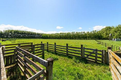 Photo of property in 991 Parewanui Road, Parewanui, Bulls, 4894