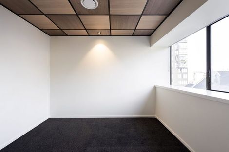 Photo of property in Te Kainga Te Aka, 203 Willis Street, Te Aro, Wellington, 6011