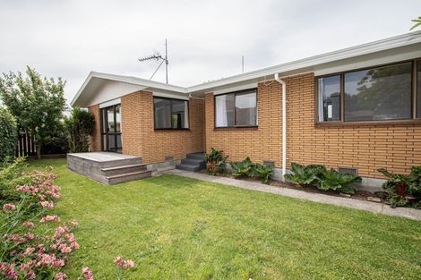 Photo of property in 42b Galloway Street, Hamilton East, Hamilton, 3216
