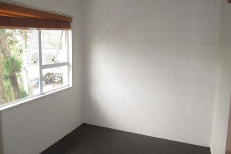 Photo of property in 17 Myrtle Street, Hamilton East, Hamilton, 3216