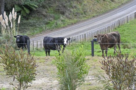 Photo of property in 438 Aropaoanui Road, Tangoio, Napier, 4181