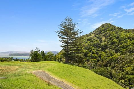 Photo of property in 80 Port Waikato-waikaretu Road, Port Waikato, 2695