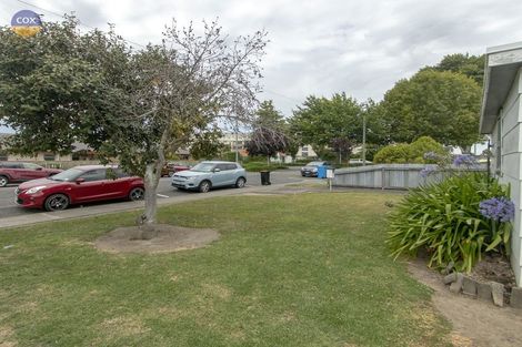 Photo of property in 102 Karaitiana Street, Frimley, Hastings, 4120