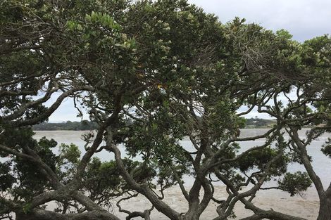 Photo of property in 2 Citrus Place, Mangawhai, 0505