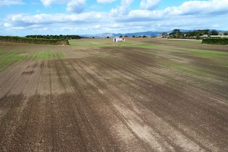 Photo of property in 142 Hutchings Road, Waiuku, 2682