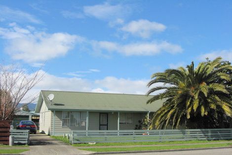 Photo of property in 19 Perth Street, Levin, 5510