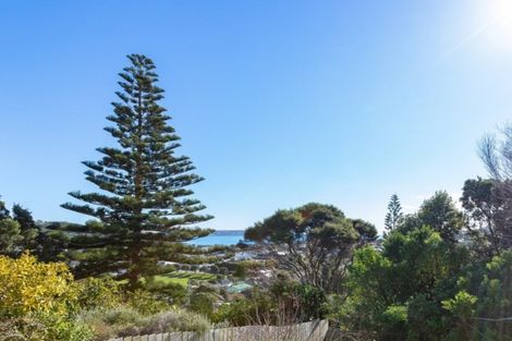 Photo of property in 19 Spur Grove, Titahi Bay, Porirua, 5022