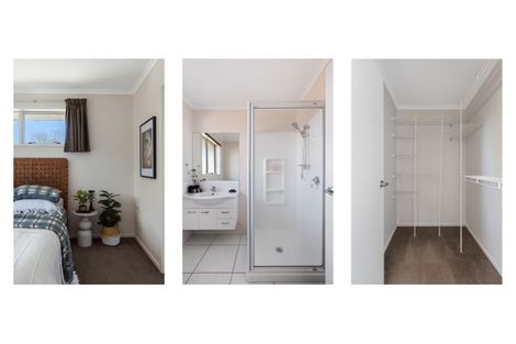 Photo of property in 11 Darraghs Lane, Brookfield, Tauranga, 3110