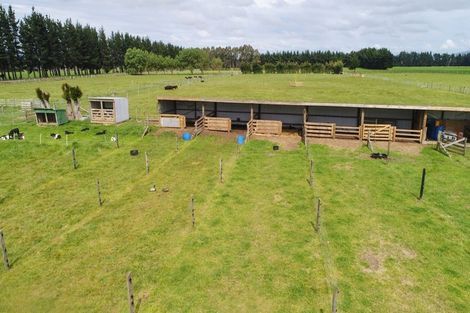 Photo of property in 39 Laws Road, Dannevirke, 4972