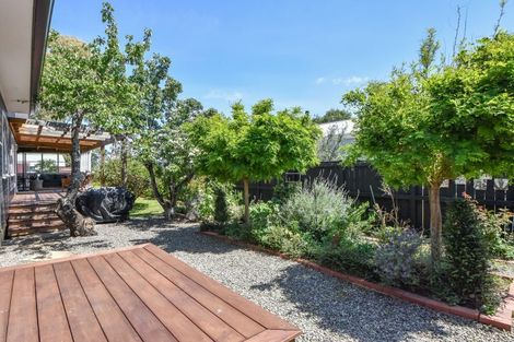 Photo of property in 19 Broadway Street, Martinborough, 5711