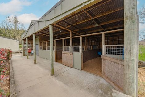 Photo of property in 255 Ararimu Valley Road, Helensville, Waimauku, 0882