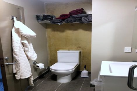 Photo of property in Canvas Apartments, 11/307u Willis Street, Te Aro, Wellington, 6011