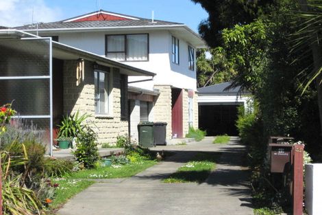 Photo of property in 49 Domett Street, Nelson, 7010