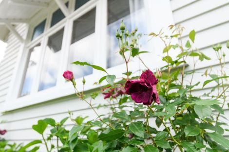 Photo of property in 9 Rongopai Street, Palmerston North, 4414