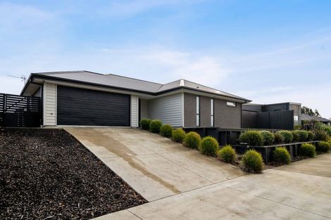 Photo of property in 273 Island Road, Kaiapoi, 7630