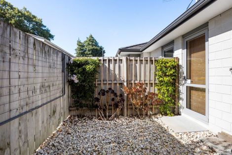 Photo of property in 230u3 Killarney Road, Frankton, Hamilton, 3204