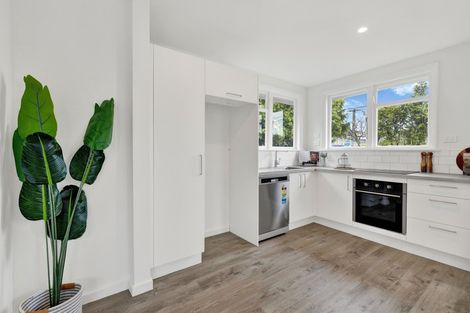 Photo of property in 55 Jollie Street, Linwood, Christchurch, 8062